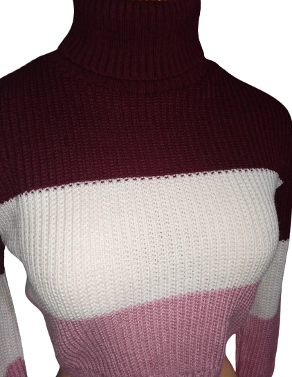 275113177_952084805461010_3529652497108791868_n-removebg-preview2 Torera con Cuello Alto