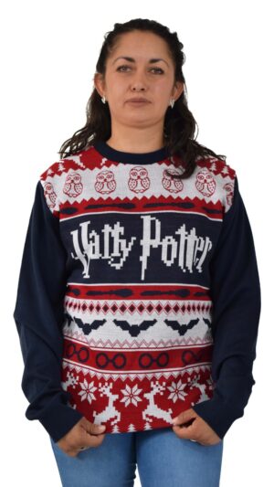 IMG_20240814_020303 Suéter Unisex de Harry Potter
